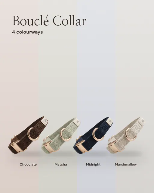 Carousel for By Teddy: Marshmallow┃Bouclé Collar in Marshmallow. Colourway carousel, 6 slides, light palette.
