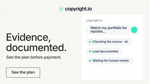 Landscape graphic for copyright.io: "Evidence, documented." Editorial style, bottom layout, light palette in white, grey.