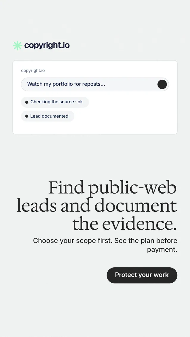 Instagram story for copyright.io: "Find public-web leads and document the evidence." Data card style, right layout, light palette in white, grey.