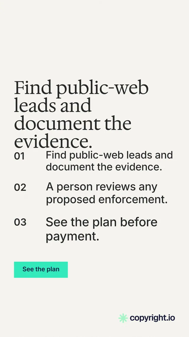 Instagram story for copyright.io: "Find public-web leads and document the evidence." Swiss style, numbered layout, light palette in white, grey.