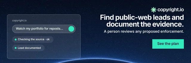 X header for copyright.io: "Find public-web leads and document the evidence." Swiss style, right layout, dark palette in black, blue, teal.