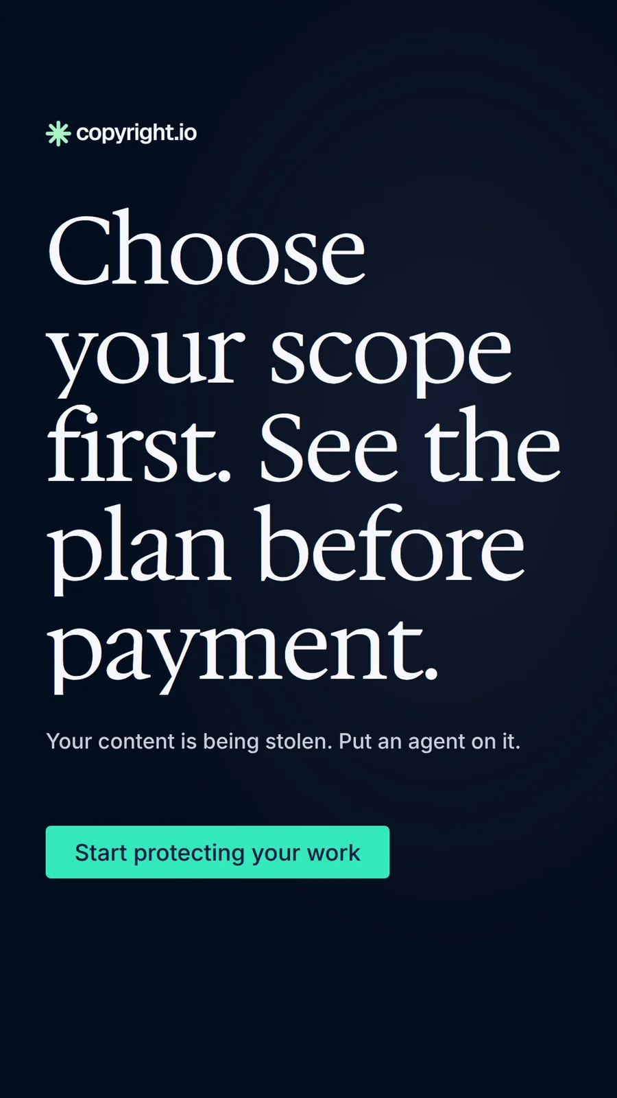 Video for copyright.io: "Choose your scope first. See the plan before payment.". Doc motion loop, 8.0 s, dark palette.