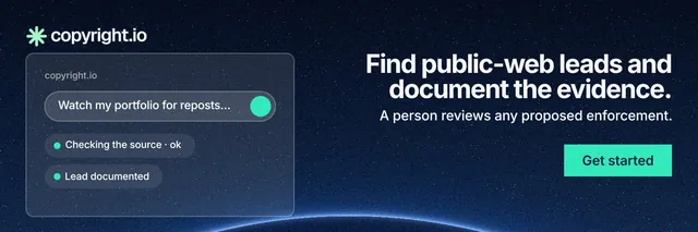 X header for copyright.io: "Find public-web leads and document the evidence." Swiss style, right layout, dark palette in black, blue, teal.