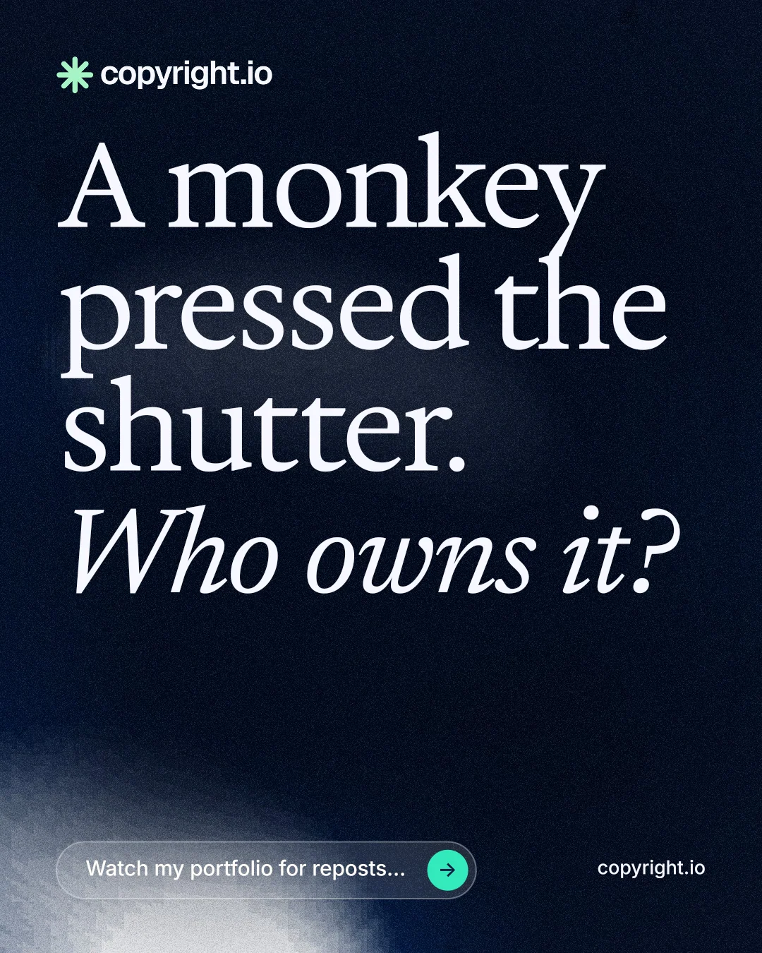 Instagram portrait post for copyright.io: "A monkey pressed the shutter. Who owns it?" Thermal style, poster layout, dark palette in black, grey.