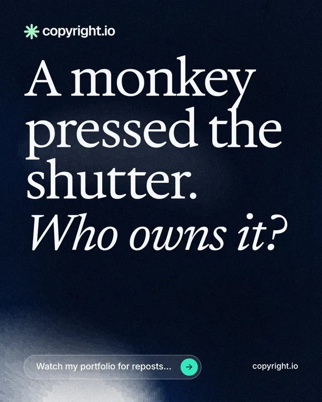 Instagram portrait post for copyright.io: "A monkey pressed the shutter. Who owns it?" Thermal style, poster layout, dark palette in black, grey.