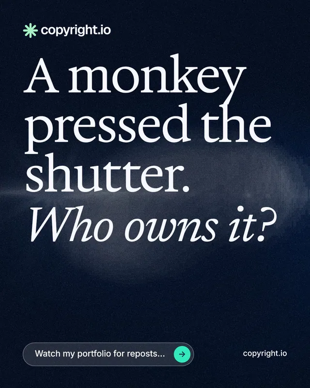 Instagram portrait post for copyright.io: "A monkey pressed the shutter. Who owns it?" Thermal style, poster layout, dark palette in blue, black, grey.