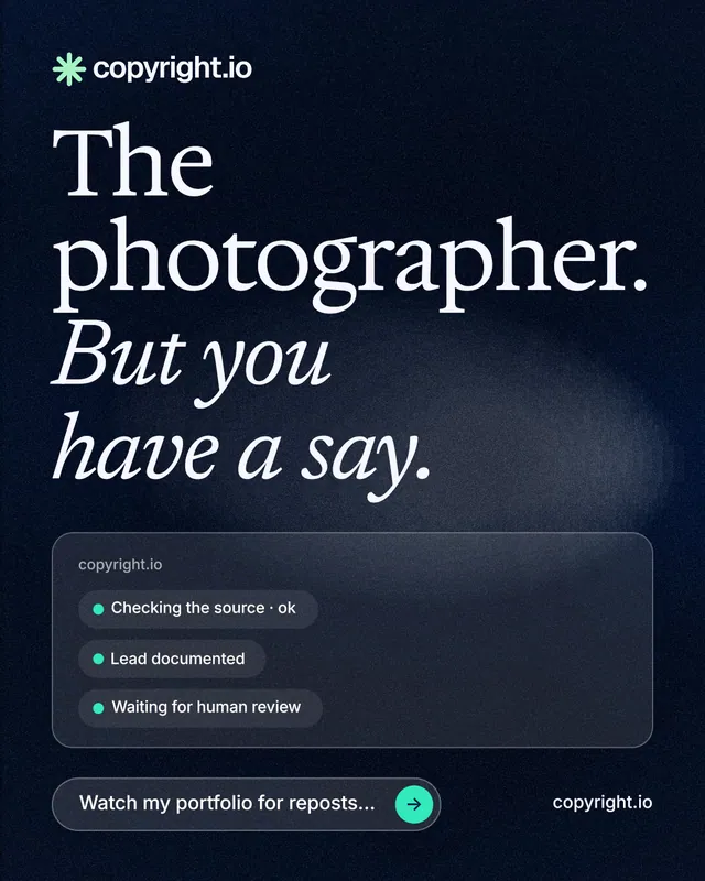 Instagram portrait post for copyright.io: "The photographer. But you have a say." Thermal style, poster layout, dark palette in blue, black, grey.