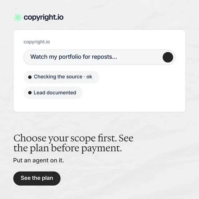 Instagram post for copyright.io: "Choose your scope first. See the plan before payment." Data card style, bottom layout, light palette in white, grey.