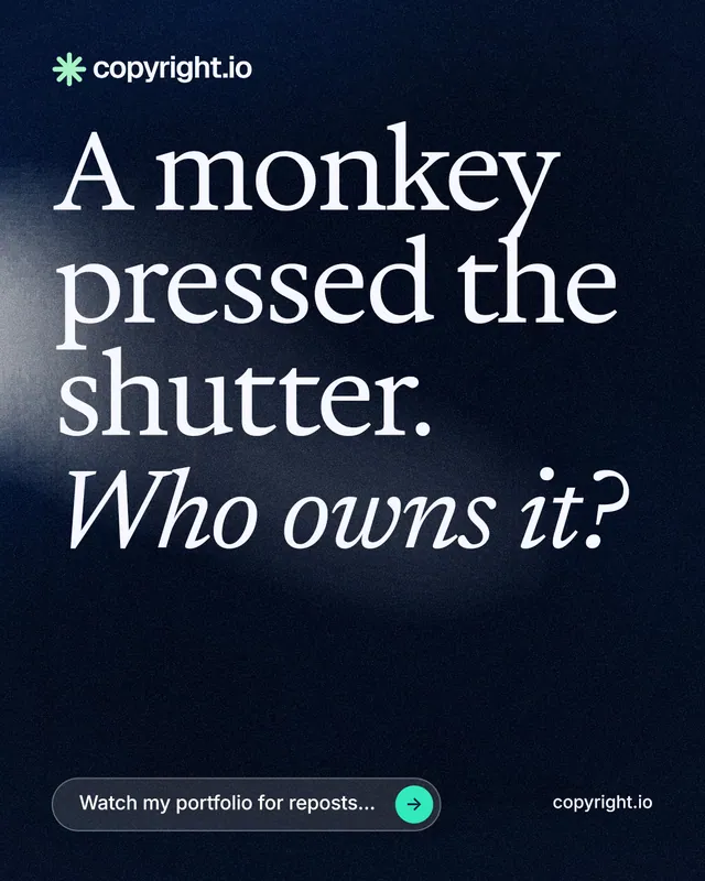 Instagram portrait post for copyright.io: "A monkey pressed the shutter. Who owns it?" Thermal style, poster layout, dark palette in black, grey.