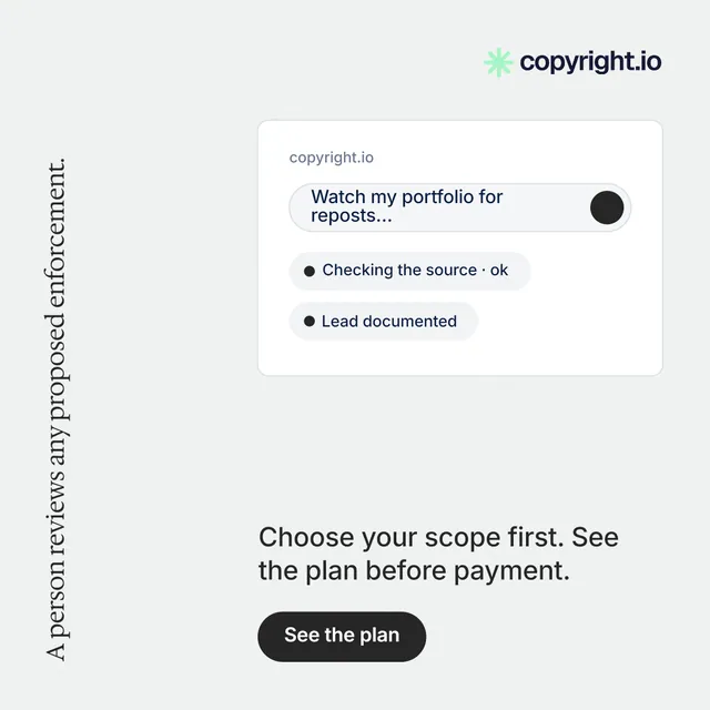 Instagram post for copyright.io: "A person reviews any proposed enforcement." Data card style, vertical layout, light palette in white.