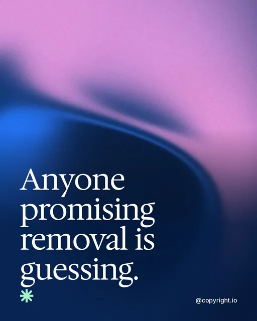 Video for copyright.io: "Anyone promising removal is guessing.". Shader loop, 6.0 s, dark palette.