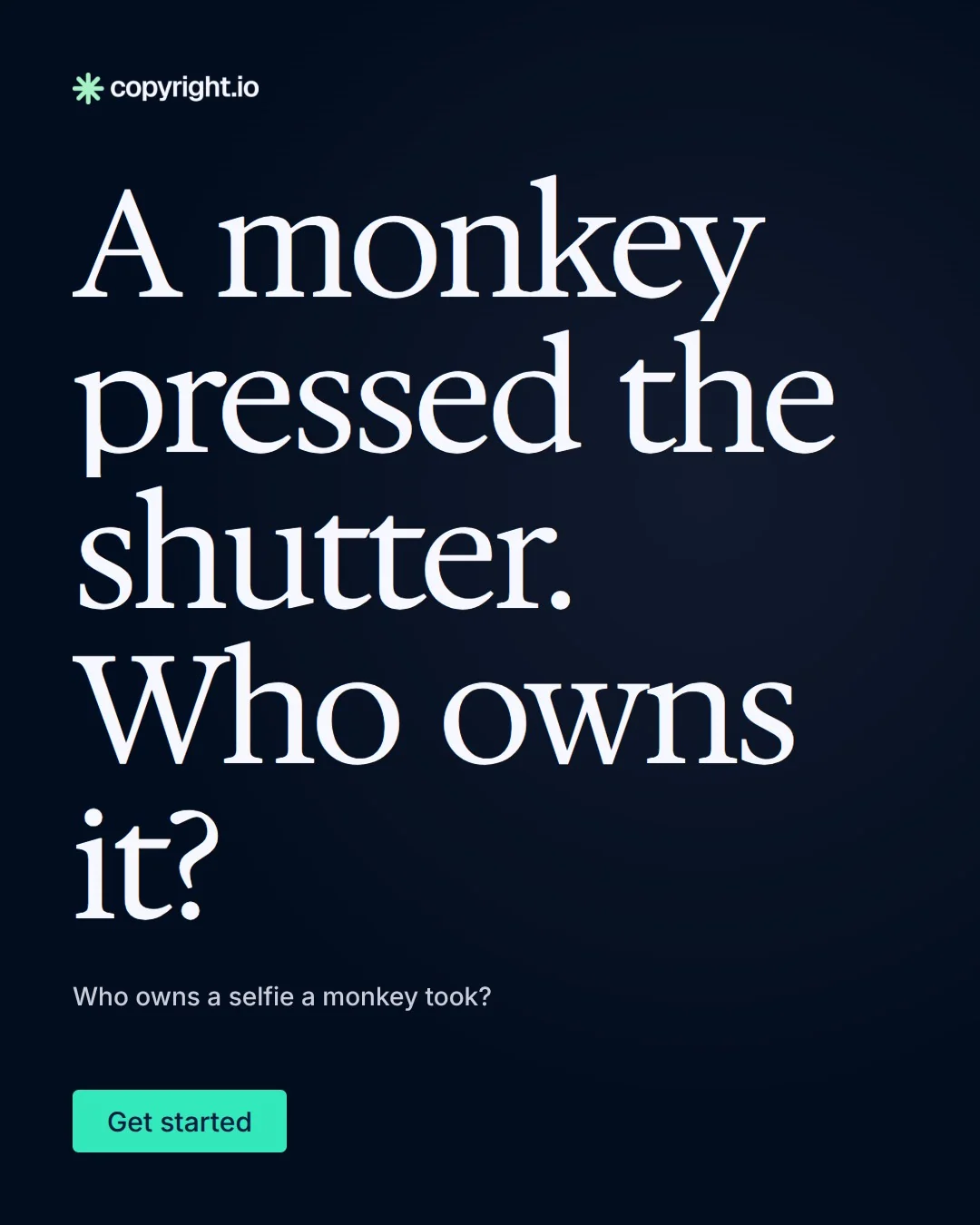 Video for copyright.io: "A monkey pressed the shutter. Who owns it?". Doc motion loop, 8.0 s, dark palette.
