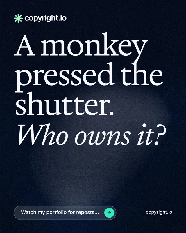 Instagram portrait post for copyright.io: "A monkey pressed the shutter. Who owns it?" Thermal style, poster layout, dark palette in blue, black, grey.
