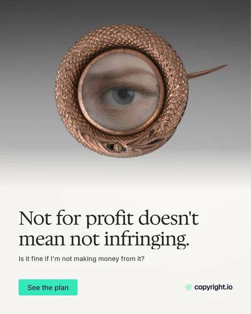 Video for copyright.io: "Not for profit doesn't mean not infringing.". Doc motion loop, 8.0 s, light palette.