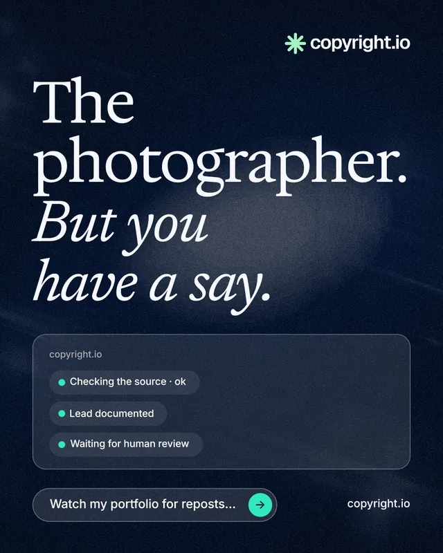 Instagram portrait post for copyright.io: "The photographer. But you have a say." Thermal style, poster layout, dark palette in blue, black, grey.