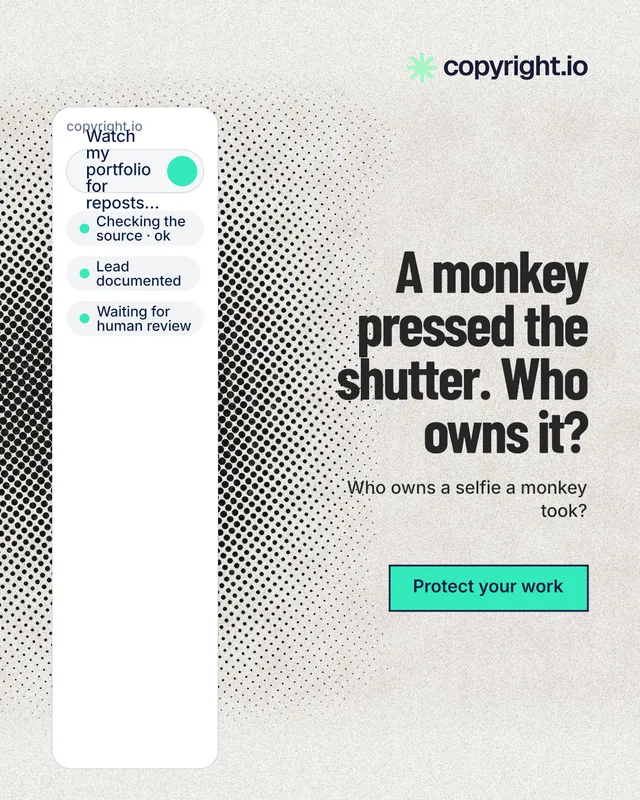 Instagram portrait post for copyright.io: "A monkey pressed the shutter. Who owns it?" Ink sticker style, right layout, light palette in white, grey.