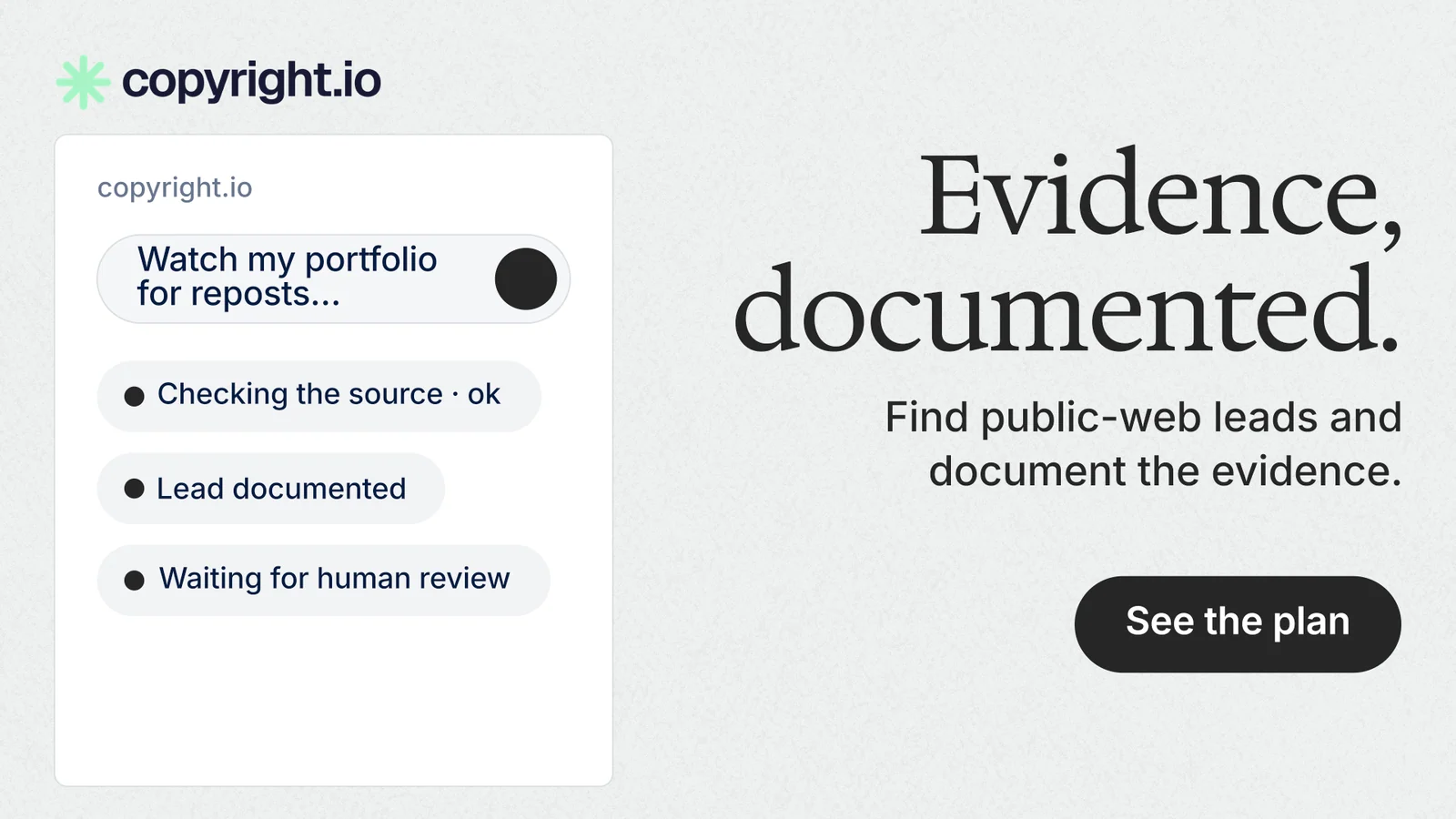 Landscape graphic for copyright.io: "Evidence, documented." Data card style, right layout, light palette in white, grey.