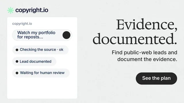 Landscape graphic for copyright.io: "Evidence, documented." Data card style, right layout, light palette in white, grey.