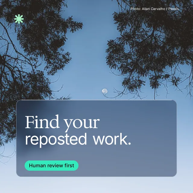 Instagram post for copyright.io: "Find your reposted work." Glass style, technique:pexels ingredient layout, light palette in blue, black.