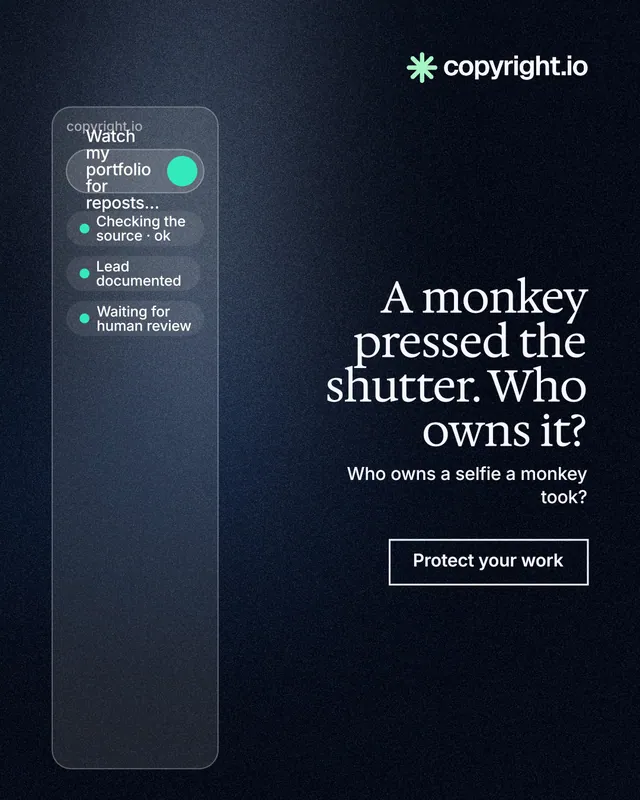 Instagram portrait post for copyright.io: "A monkey pressed the shutter. Who owns it?" Dark deco style, right layout, dark palette in blue, black, grey.