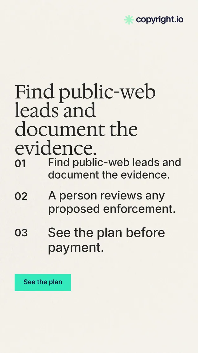 Instagram story for copyright.io: "Find public-web leads and document the evidence." Swiss style, numbered layout, light palette in white, grey.