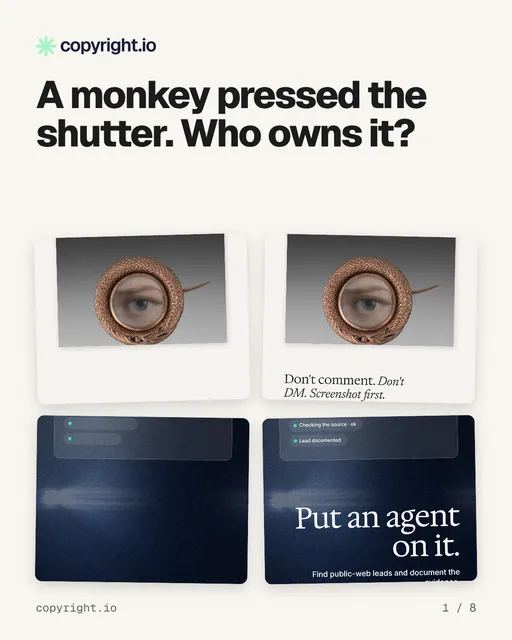 Carousel for copyright.io: "A monkey pressed the shutter. Who owns it?". Collection carousel, 8 slides, light palette.