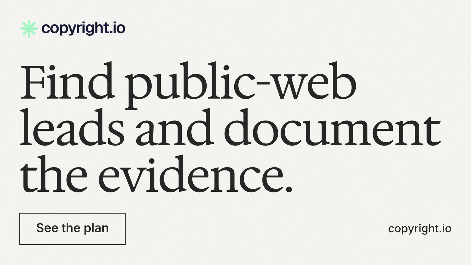 Landscape graphic for copyright.io: "Find public-web leads and document the evidence." Editorial style, poster layout, light palette in white, grey.