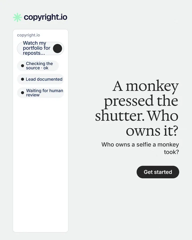 Instagram portrait post for copyright.io: "A monkey pressed the shutter. Who owns it?" Data card style, right layout, light palette in white.