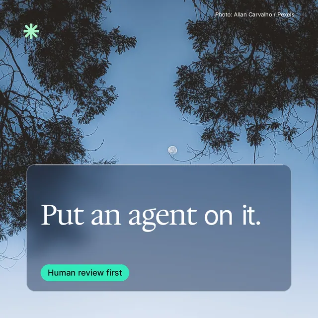 Instagram post for copyright.io: "Put an agent on it." Glass style, technique:pexels ingredient layout, light palette in blue, black.