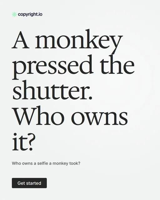 Video for copyright.io: "A monkey pressed the shutter. Who owns it?". Doc motion loop, 6.0 s, light palette.