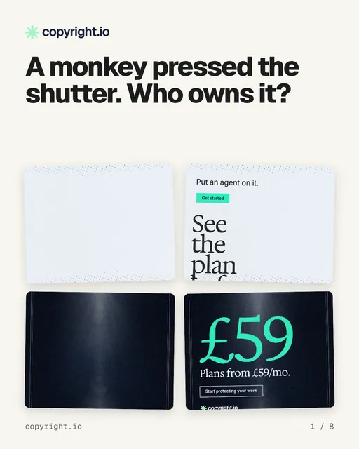 Carousel for copyright.io: "A monkey pressed the shutter. Who owns it?". Collection carousel, 8 slides, light palette.