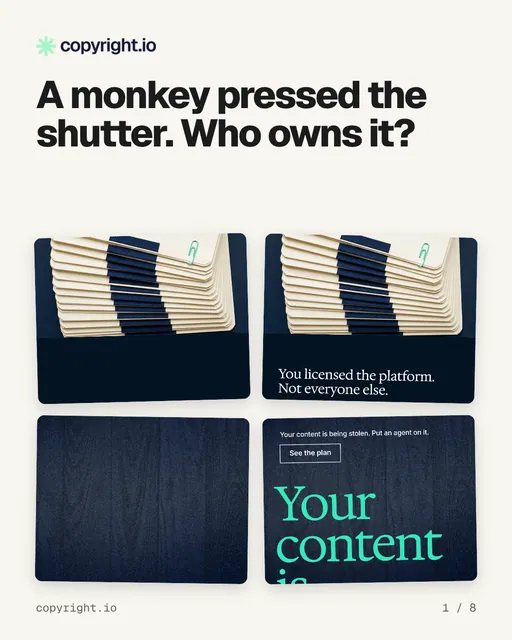 Carousel for copyright.io: "A monkey pressed the shutter. Who owns it?". Collection carousel, 8 slides, light palette.