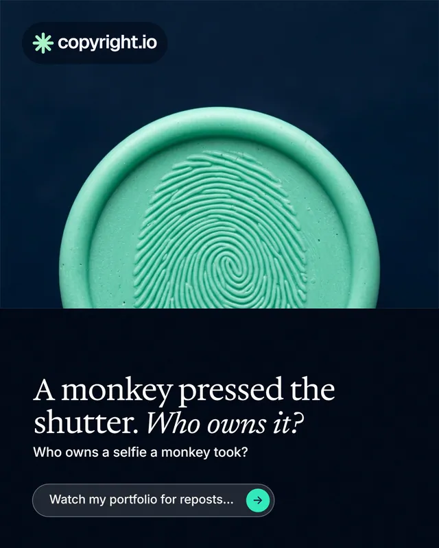 Instagram portrait post for copyright.io: "A monkey pressed the shutter. Who owns it?" Agentic glass style, bottom layout, dark palette in black, teal, blue.