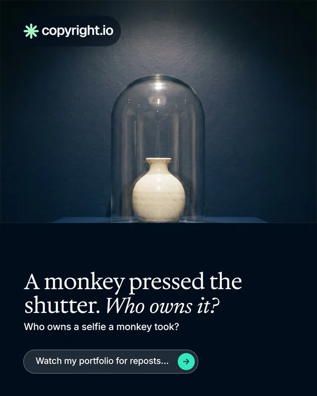 Instagram portrait post for copyright.io: "A monkey pressed the shutter. Who owns it?" Agentic glass style, bottom layout, dark palette in blue, black, grey.