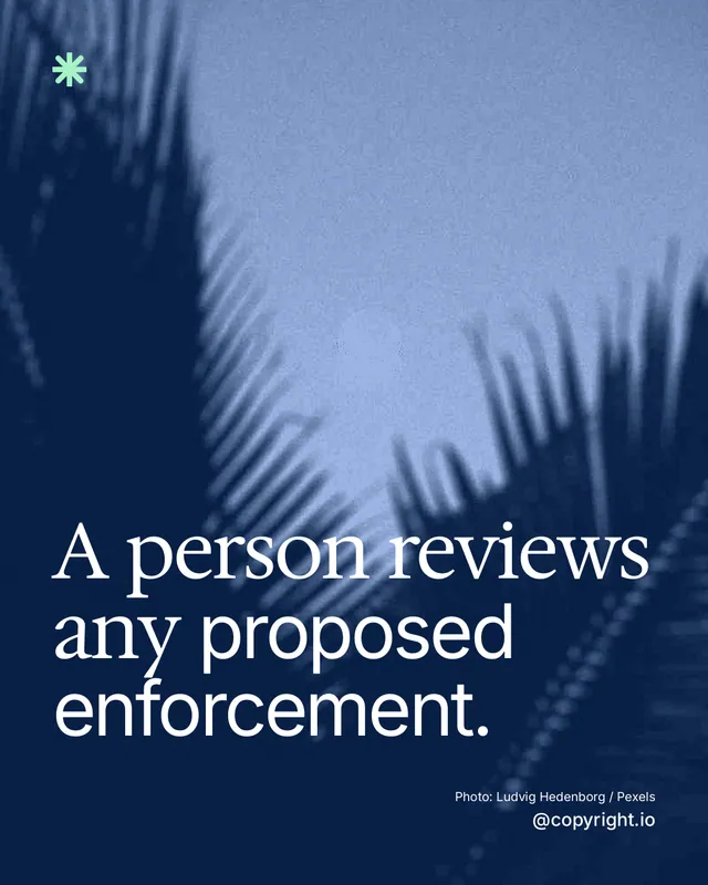 Instagram portrait post for copyright.io: "A person reviews any proposed enforcement." Duotone style, technique:pexels ingredient layout, dark palette in blue.
