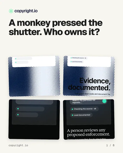 Carousel for copyright.io: "A monkey pressed the shutter. Who owns it?". Collection carousel, 8 slides, light palette.