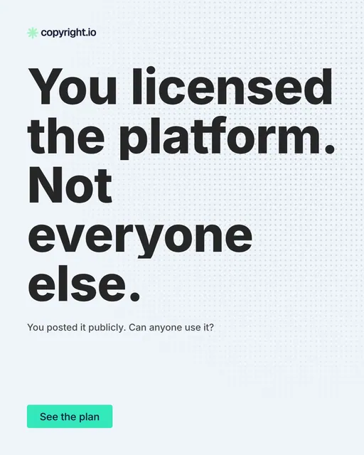 Video for copyright.io: "You licensed the platform. Not everyone else.". Doc motion loop, 7.0 s, light palette.