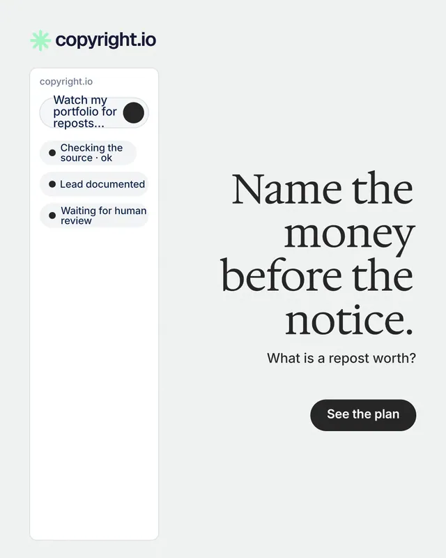 Instagram portrait post for copyright.io: "Name the money before the notice." Data card style, right layout, light palette in white.