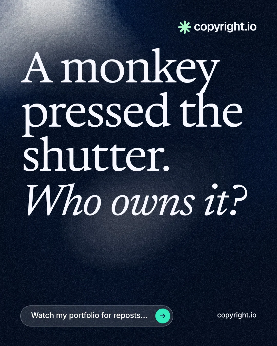 Instagram portrait post for copyright.io: "A monkey pressed the shutter. Who owns it?" Thermal style, poster layout, dark palette in black, blue, grey.