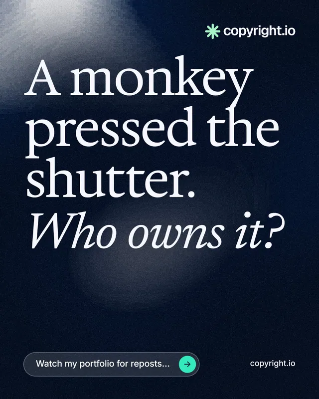 Instagram portrait post for copyright.io: "A monkey pressed the shutter. Who owns it?" Thermal style, poster layout, dark palette in black, blue, grey.