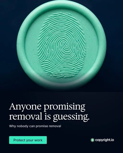 Video for copyright.io: "Anyone promising removal is guessing.". Doc motion loop, 6.0 s, dark palette.