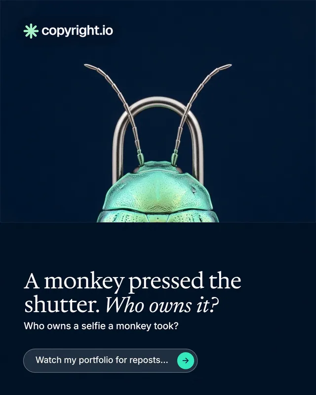 Instagram portrait post for copyright.io: "A monkey pressed the shutter. Who owns it?" Agentic glass style, bottom layout, dark palette in black, blue.
