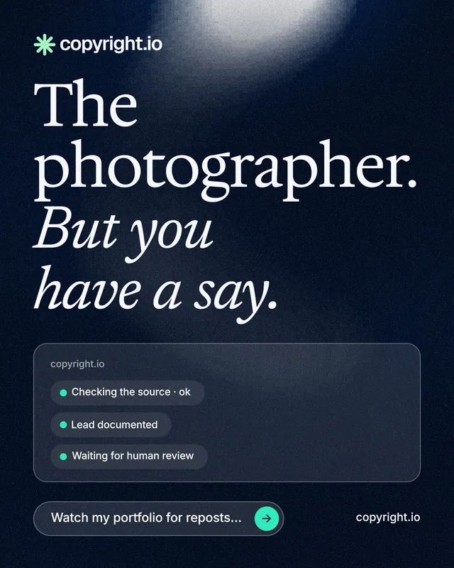 Instagram portrait post for copyright.io: "The photographer. But you have a say." Thermal style, poster layout, dark palette in blue, black, grey.