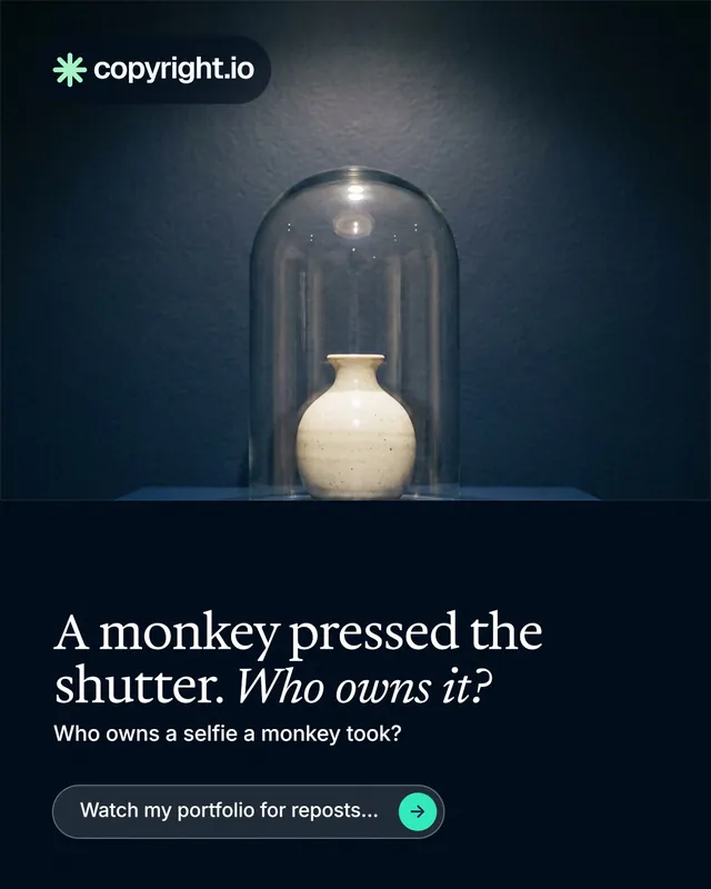Instagram portrait post for copyright.io: "A monkey pressed the shutter. Who owns it?" Agentic glass style, bottom layout, dark palette in blue, black, grey.