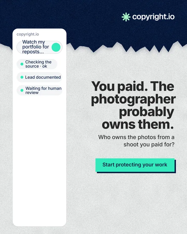 Instagram portrait post for copyright.io: "You paid. The photographer probably owns them." Paper trio style, right layout, light palette in white, blue.