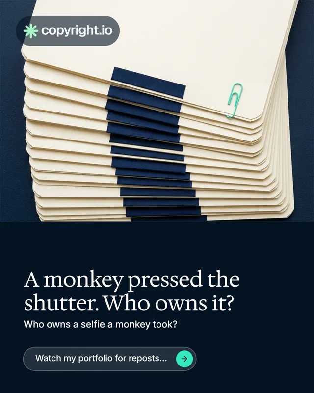 Instagram portrait post for copyright.io: "A monkey pressed the shutter. Who owns it?" Agentic glass style, bottom layout, dark palette in yellow, black, blue.