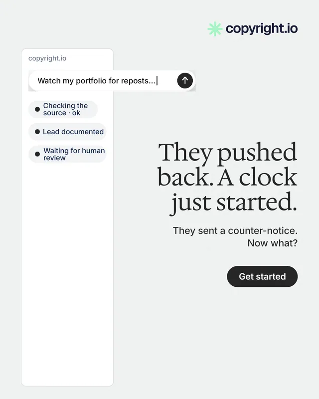 Instagram portrait post for copyright.io: "They pushed back. A clock just started." Data card style, right layout, light palette in white.