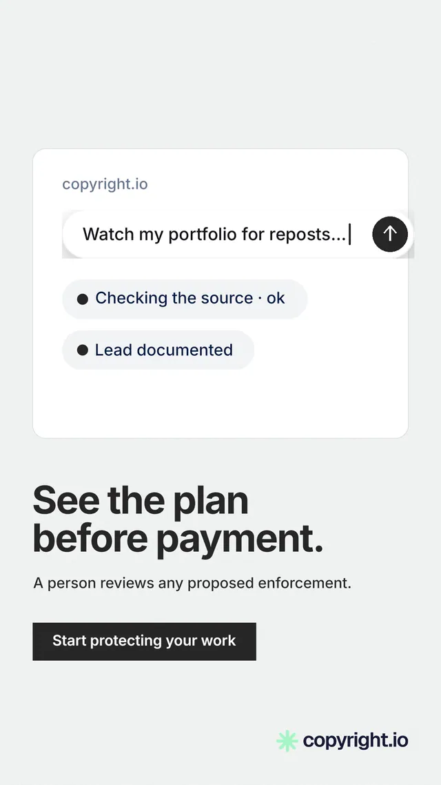 Instagram story for copyright.io: "See the plan before payment." Swiss style, bottom layout, light palette in white, grey.