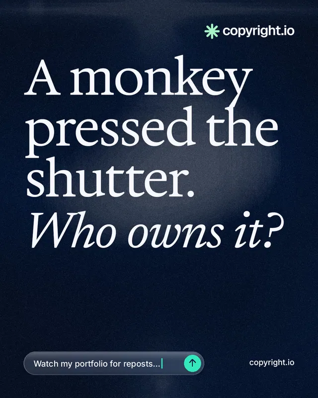 Instagram portrait post for copyright.io: "A monkey pressed the shutter. Who owns it?" Thermal style, poster layout, dark palette in blue, black, grey.
