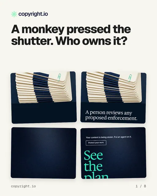 Carousel for copyright.io: "A monkey pressed the shutter. Who owns it?". Collection carousel, 8 slides, light palette.
